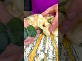 From Pumpkin patch to Fall decor