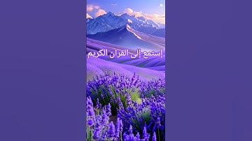 #راحة_نفسية #تلاوة_هادئة #قرآن #قران_كريم #اكسبلور #المصحف #لايك #الرحمن #تيك_توك