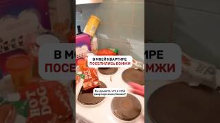 В МОЕЙ КВАРТИРЕ ЖИВУТ БОМЖИ?