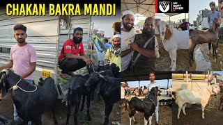 Pune's Biggest Bakra Mandi CHAKAN BAKRA MANDI EID SPECIAL VIDEO I YK Goat Lover