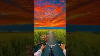 🌸 The Most Beautiful Bike Ride You'll See Today