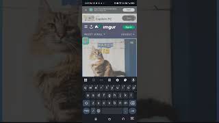 Unsplash Website Overview | What It Does &amp; How to Use Free Images