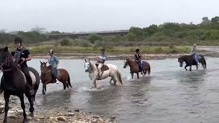 Misty Morning Horse Rides: Jeffreys Bay South Africa by Real Life Horsemanship 102 views 10 months ago 2 minutes, 5 seconds