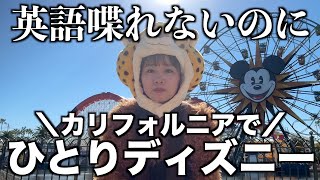 【1人ディズニーレベルマックス】70周年のマックスを拝むためにアメリカへ｜カリフォルニアディズニー｜海外ディズニー｜弾丸