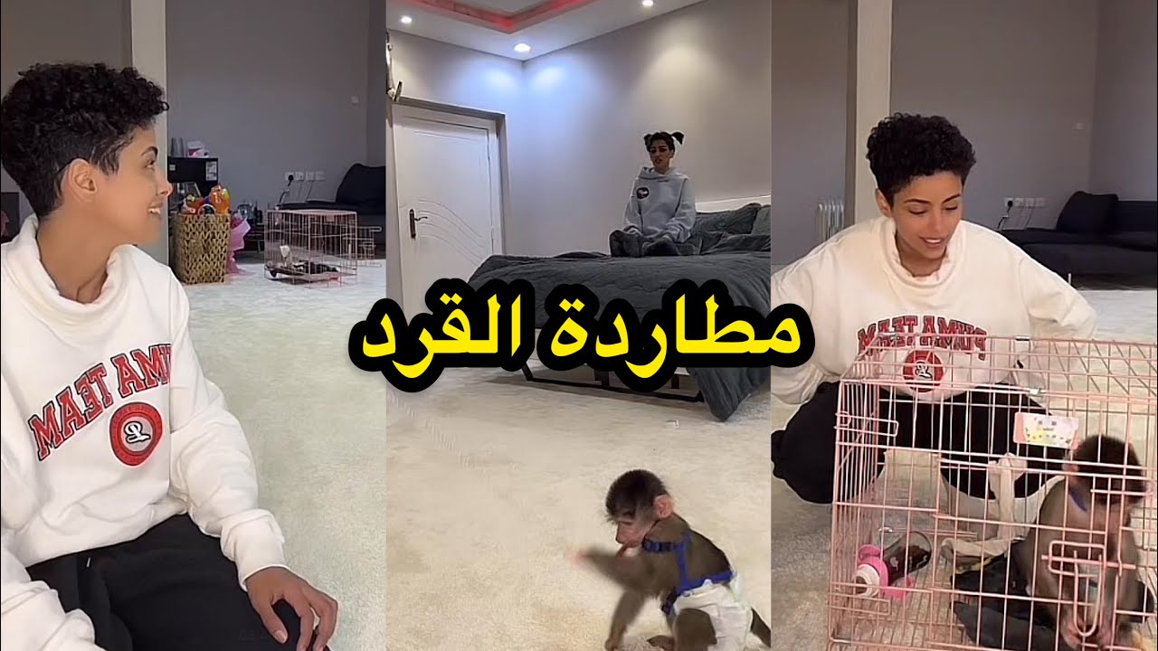 بث ريما وجود مع سكره القرد| بث جود وريما