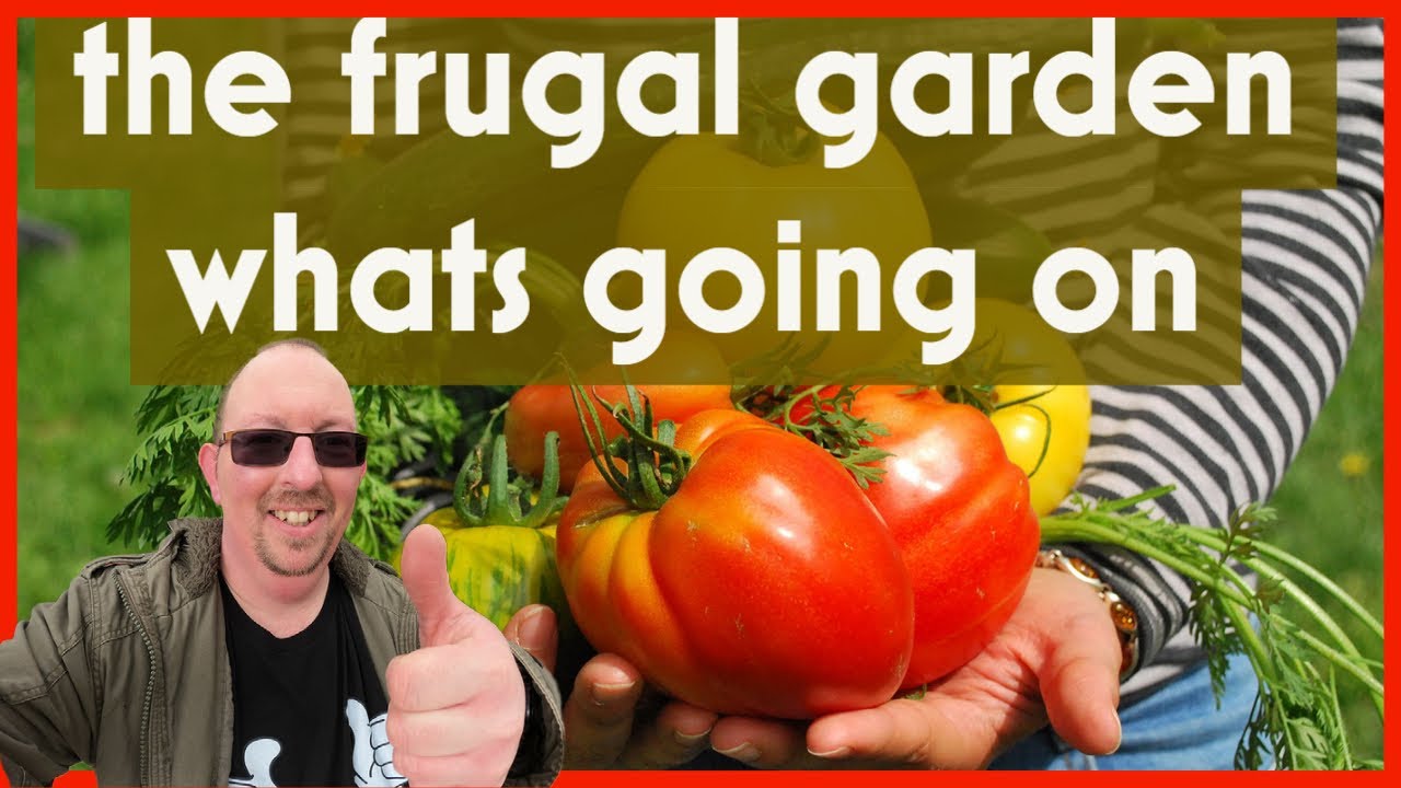 vegetable garden YouTube