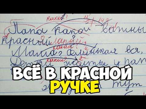 I'm checking Russian language workbooks for 2nd grade. He got a two.
