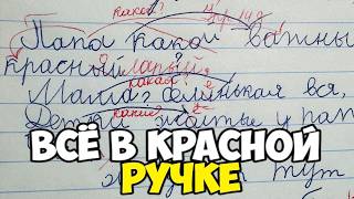 Проверяю рабочие тетради по русскому языку 2 класс. ОН ПОЛУЧИЛ ДВА