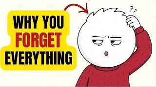 The Real Reason You Keep Forgetting Everything