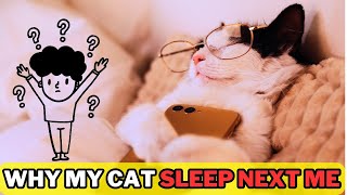 🐾😺Why Do Cats Like to Sleep In Bed With Me |5 Reasons You’ll Love to Know!