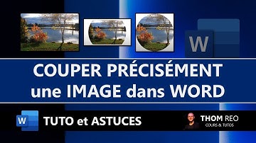 Comment COUPER ou ROGNER une IMAGE dans WORD ? - Cours Office gratuit