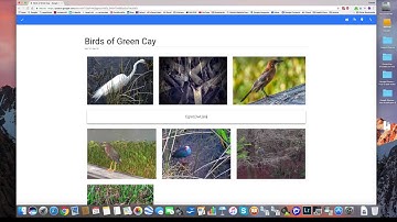 How To Create An Album In Google Photos