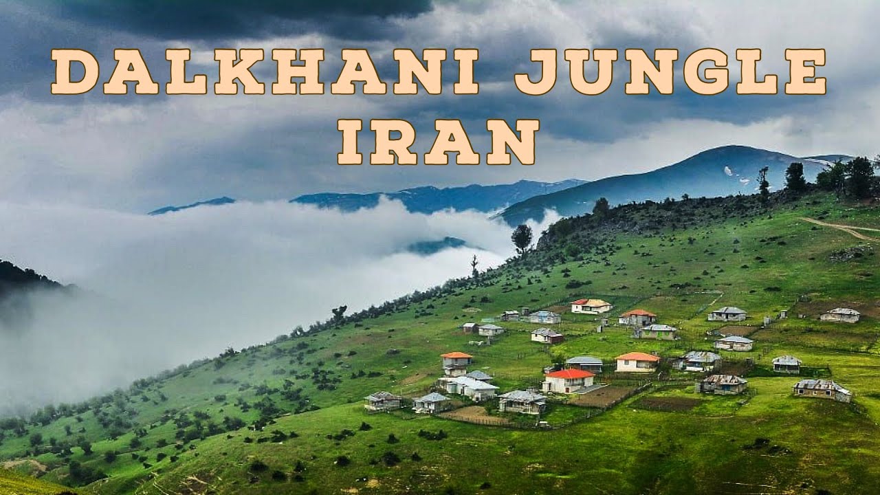 Walking IRAN 2023 |Dalkhani Jungle | Ramsar North of IRAN nature dogs|4k