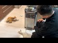 動くお魚さんを見た時のゆきとらの反応は?