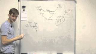Very Basic Energy Cell Process