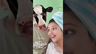 Hamri Lali Gai(Moo...)🐄🐮#ytshorts #funny #explore  #tiktok #trending #shorts #nobatidao 🫶🏻🩷