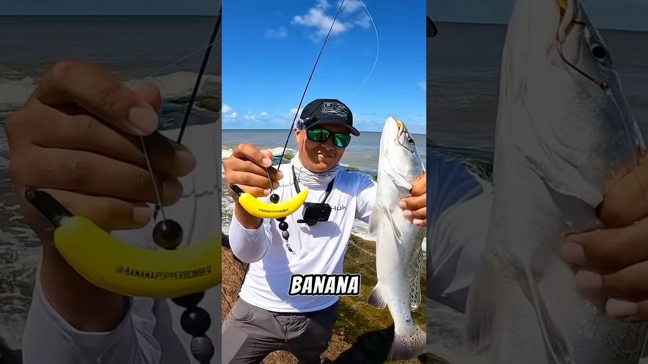 abel fly reels prices SDF  Mayfly Outdoors