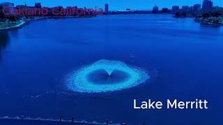 #droneview #dronevideography #drone #DJi #Oakland #california #BayArea #LakeMerritt