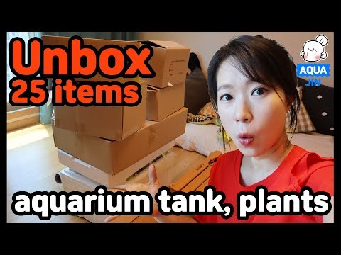 Buying 25 items to set up fish tank 어항 세팅 하려고 25가지 물생활 용품 구매했어요! 언박싱 같이 해보아요~ 구매 가격과 이유 공개! Aqua Jin