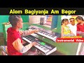 Alom bagiyanja am begor santali instrumental cover by jituhansda  sushanta musical group