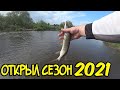 Ловля щуки, голавля и окуня сезон 2021