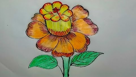 How To Draw a Flower step by step In 6 Minutes!