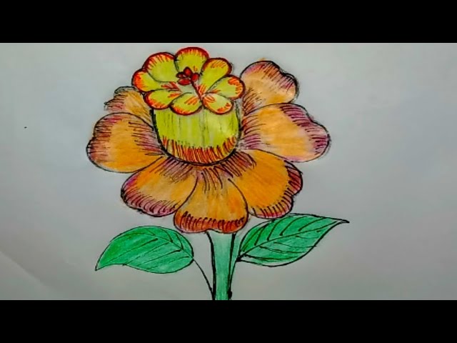 How To Draw A Flower Step By In 6 Minutes | Best Flower Site