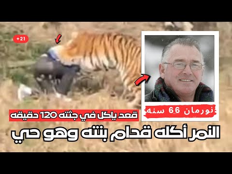 The Pet Tiger Ate Its Owner Alive In Front Of His Daughter The Terrifying Final Moments Of Busi 