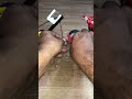 Can This Toy Crane Actually Lift? 🤔 Mechanics Challenge #imalidotcom Toying the Truck Challenge