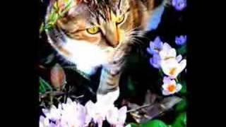 Nightcloud - Girlfriend