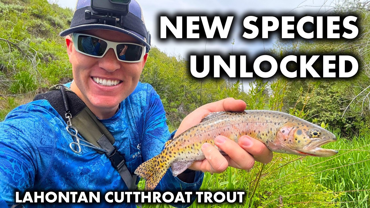 Fishing in Nevada for the First Time - Lahontan Cutthroat Trout Fly Fishing