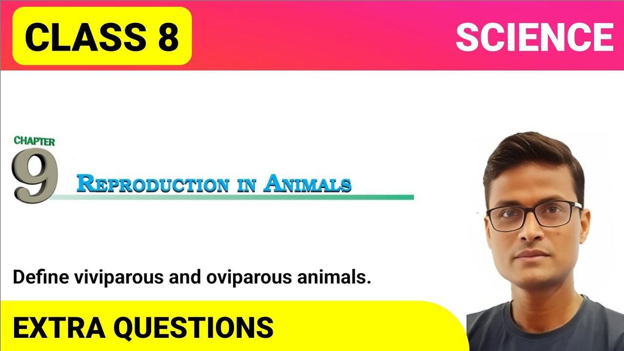 Define viviparous and oviparous animals. - YouTube