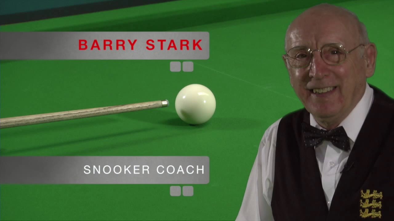 Professional Snooker Coaches