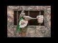 Persian Azari Song Achilsaharآچیل سحر علیرضا نابدل Persian Azari Song Achilsaharآچیل سحر علیرضا نابدل