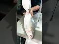 Amazing Delicious Hilsa Fish Cutting Skills In Bangladesh Local Fish Market Part-5 #shorts