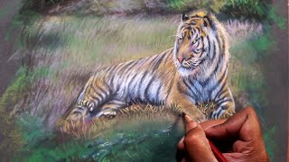 How to Draw a Tiger Like a Pro - Soft Pastels screenshot 1