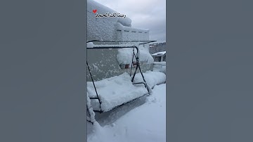 أجواء الشتاء مع تلاوة من أجمل تلاوات المعيقلي - هطول ثلوج ولا أجمل - سبحان الله الخالق 🌨️🌨️🌨️