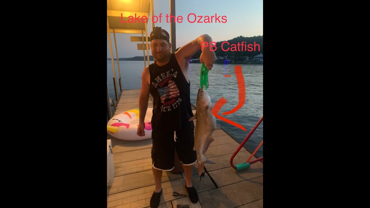 Caught a nice Blue Catfish at Lake of the Ozarks! My new PB of any Catfish species! YouTube
