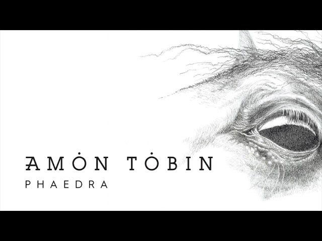 Amon Tobin - Phaedra