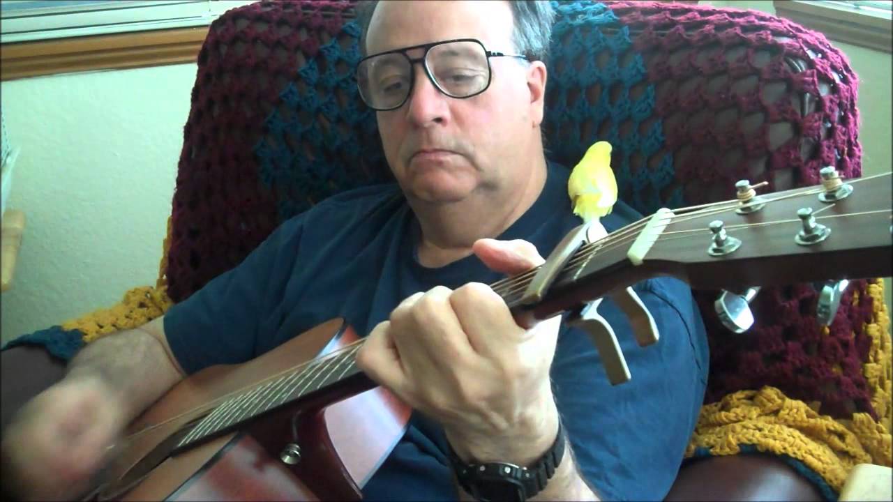 Aunt Duddie's Hungry Hubby: A Boy, His Guitar, His Little Yellow Petey Bird