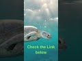 “This Underwater Camera Surprised Me! 😳💦 | Amazon Tech Find #Shorts”