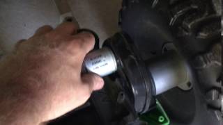 IMG 6239