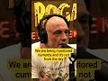 Joe Rogan: Where Aliens Are Actually Hiding