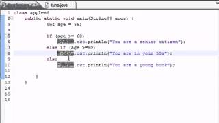 Java beginner Tutorial 19 - else if Statement