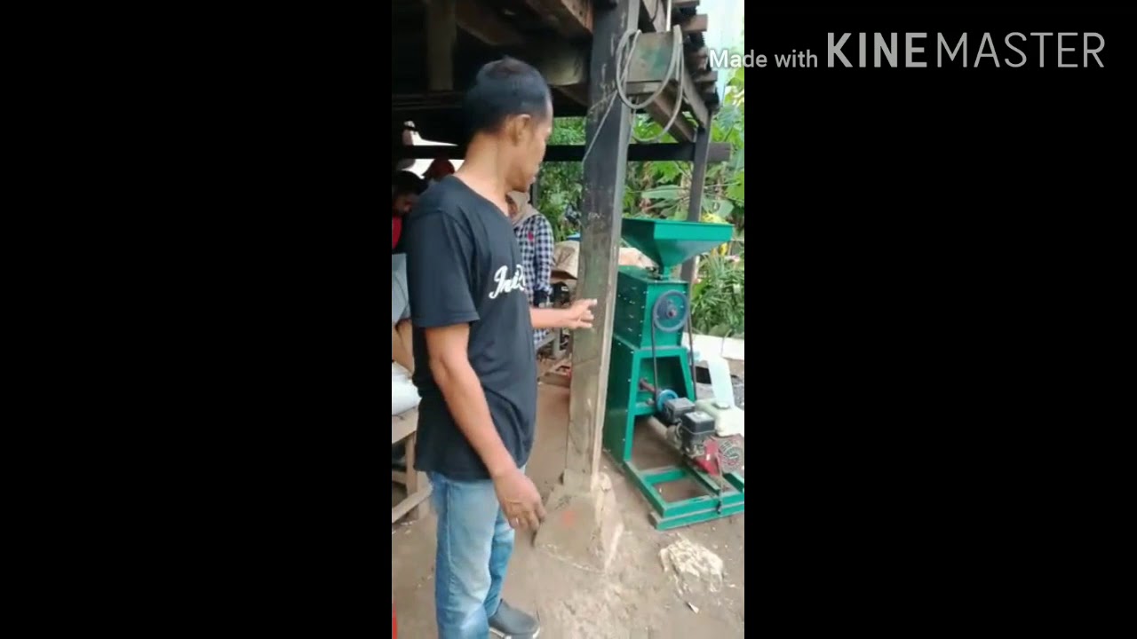 WA 085345000523 Cara menyosoh sorgum 