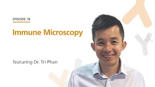 Immune Microscopy featuring Dr. Tri Phan | The Immunology Podcast