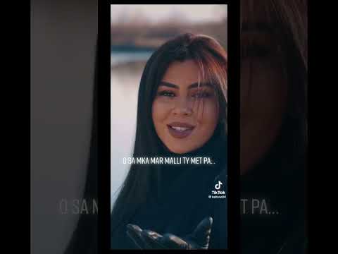 Zani yt