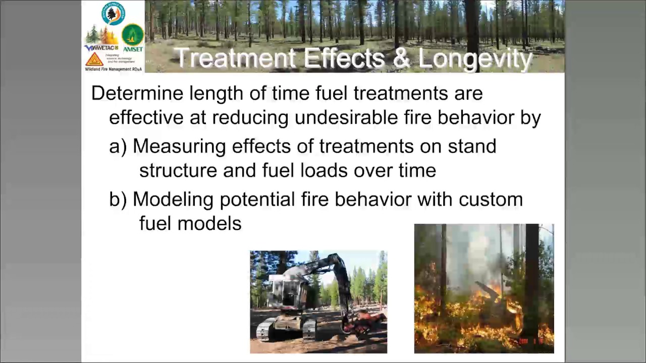 Effectiveness and Longevity of Fuel Treatments in Coniferous Forest Across California