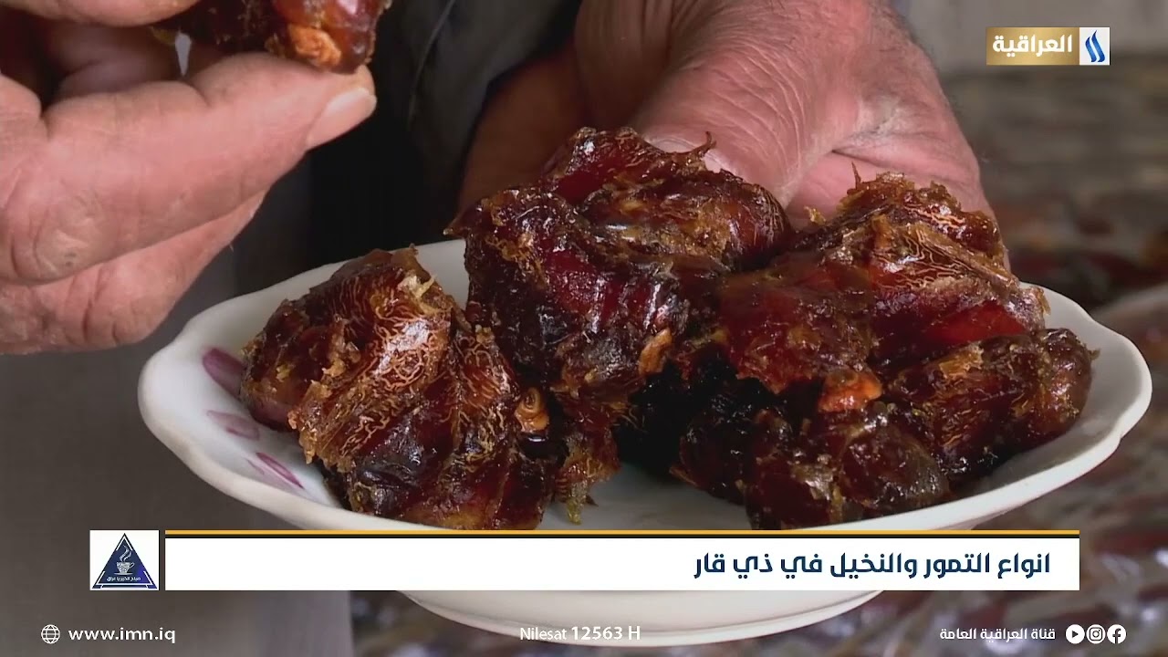 انواع التمور والنخيل في ذي قار | تقرير : مريم شاهين | صبــاح الخيـر يـاعراق