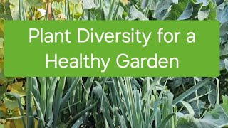 Why You Should Plant A Diverse Range of Plants in Your Garden by Ange's Garden 79 views 1 month ago 1 minute, 4 seconds